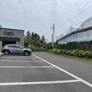 마로니에 미니골프 이미지