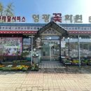 영광꽃화원