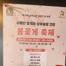 풍요농원 | 고창 상하농원 10주년 무료입장 후기 + 5월 봄꽃게 축제 일정 총정리