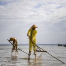 삼도목장 이미지