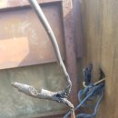 오마이모텔 이미지