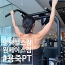 페이스짐 | 평택헬스장 원페이스짐 체형분석 후 교정 PT 후기