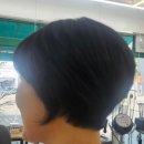 경충대로 2050번길 1 이미지