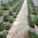 산골짜기농장 이미지