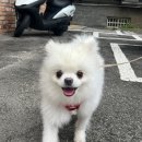 여주-0825 네이버블로그