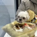 더크레페배방점