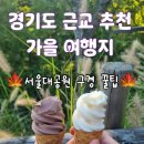 코끼리 키즈짐 | 서울 근교 주말 가을 여행지 추천. 추워지기 전 꼭 가봐야 할 서울대공원 후기
