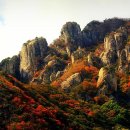 산 - 태백시 황지연못길 19 | 산