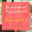 부동산코리아공인중개사사무소 이미지