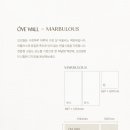 오브마루 이미지