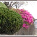 조선대학교병원 이미지