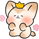 (주)정선랜드 이미지