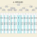 청도소싸움축제 네이버블로그