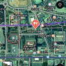 아미낙지 | 광화문 낙지볶음 노포 순례, 피마길낙지실비집의 매콤한 가성비 낙지볶음