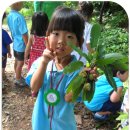 대자연어린이집 이미지