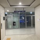 다루 | 금천구 애견유치원 다루이 일일 등원후기