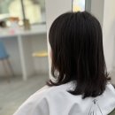 하랑 앤 메디도트