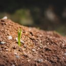 유기농장 이미지