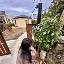 신의마을회관 | 제주요가원데이 요가낙 후기｜제주원데이클래스 운영시간 위치