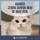 고척원동물의료센터 이미지