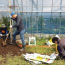 정환2농장 이미지