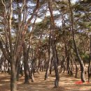 송강초등학교 이미지