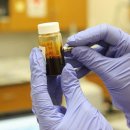 진솔솔루션 이미지