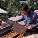 만세동농장 이미지