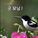 26.8.20 (목) 끝말잇기 "요"로 시작합시다 이미지