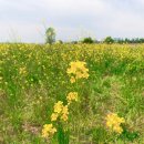 영산강 대상공원 주차장 이미지