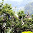 백로마을 이미지