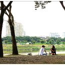 동촌유원지 티스토리