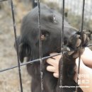 바이신산 | 바이신산 - 바다가 보이는 포근하고 좋은 제주 동쪽 독채 숙소!