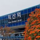 이정재성형외과