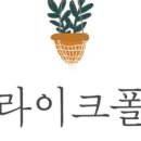 라이크폴