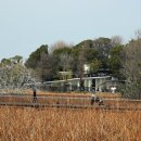 문화공원_하 | 도쿄 우에노 공원 벚꽃 실시간 개화 상황🌸지금 가도 괜찮을까?