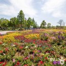 순천만국가정원 이미지