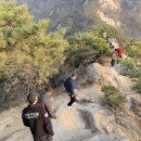 고양소방서(119구조대) 이미지