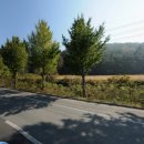 제이엠3주유소 이미지