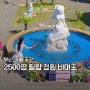 비아조 | 부산 카페 추천 2500평 대형 정원 강서구 힐링 데이트 장소 비아조 후기