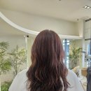 그레이스조 | 창원 상남동 미용실 한하루헤어 그레이스펌 후기