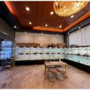 행복한강아지와고양이 이미지