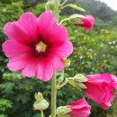 원진민박 이미지