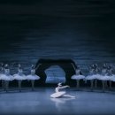 국립발레단 ’백조의 호수’ 이미지