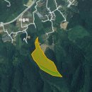 보성공인중개사사무소 이미지