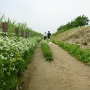 세모공원 이미지