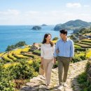 1박2일 | 속초 여행코스 애견동반 반려견과 1박2일 후기
