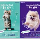 청산동물병원