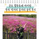 철쭉동산 | 2026 군포 철쭉축제 철쭉동산 아이랑 후기 주차 개화상황 먹거리 볼거리 솔직 후기