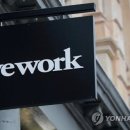 위워크 위브로크의 이유 있는 몰락 기사 이미지